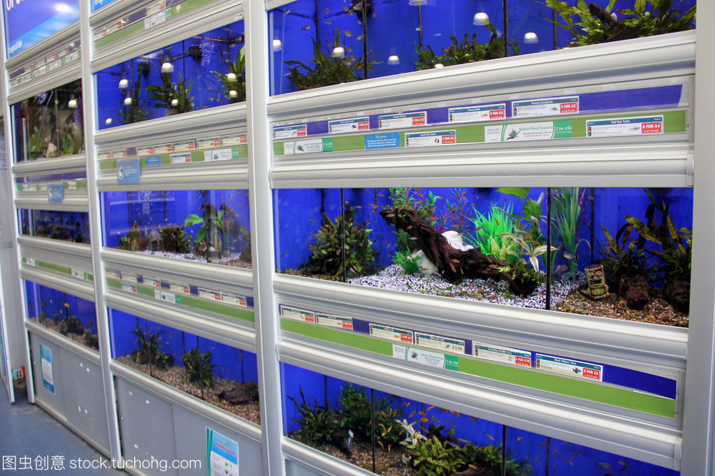 鱼制品和水族馆
